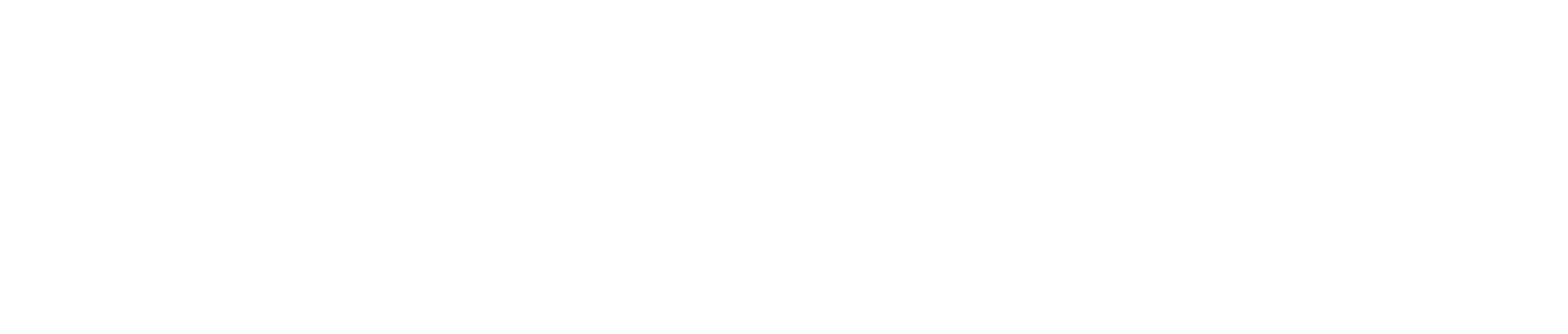 Step The Future